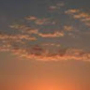 Meet your Posher, Isabel